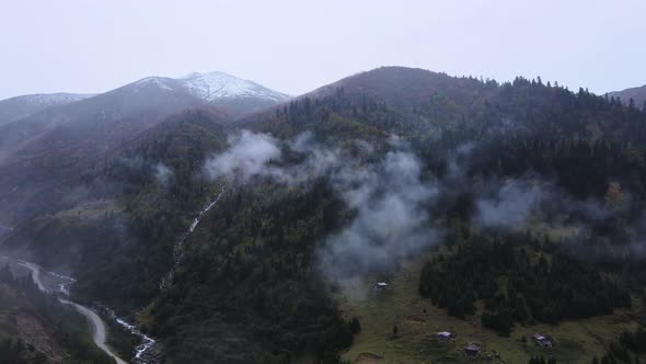 Fly over forest mountain pine trees surrounded in mist and fog during rain alt