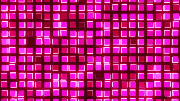 Glowing colorful red pink neon led lights.