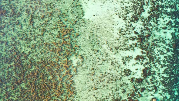 Wide drone island view of a white sand paradise beach and blue ocean background in vibrant 4K alt