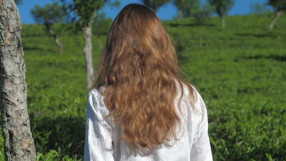 Long Haired Girl Walks at Tea Bushes Slow Motion Closeup alt
