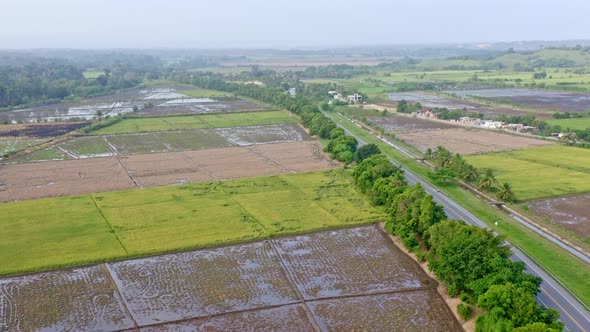 Aerial Of Vast Agricultural Rice Fields On The Province Near Nagua In Dominican Republic. Drone alt