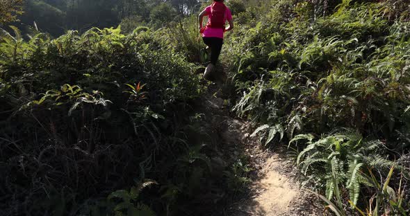 Woman trail runner running at sunrise tropical forest, slow motion alt
