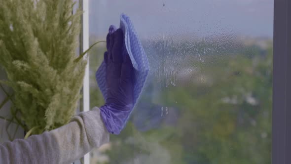 Cleaning the Window alt