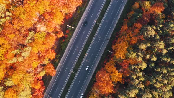 Aerial View of Road in Beautiful Autumn Forest at Sunset alt