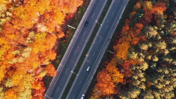 Aerial View of Road in Beautiful Autumn Forest at Sunset