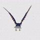 American Eagle - USA Flag - Flying Transition - V - 258