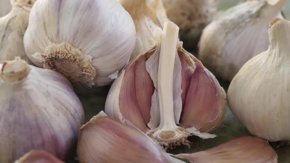 Garlic Clove or Garlic Bulb on Vintage Wooden Background