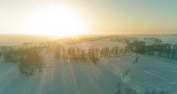 Aerial Drone View of Cold Winter Landscape with Arctic Field Trees Covered with Frost Snow and alt