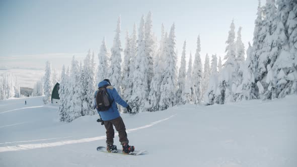 Snowboarder Sliding Down Tree Lined Ski Slope alt
