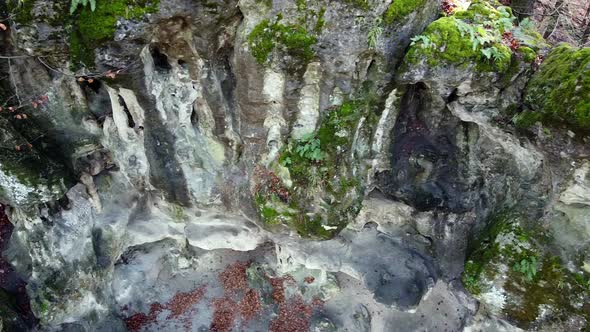 The Cave Grotto in the Forest