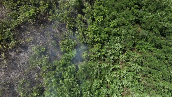 Bush Fire from Above 38 alt