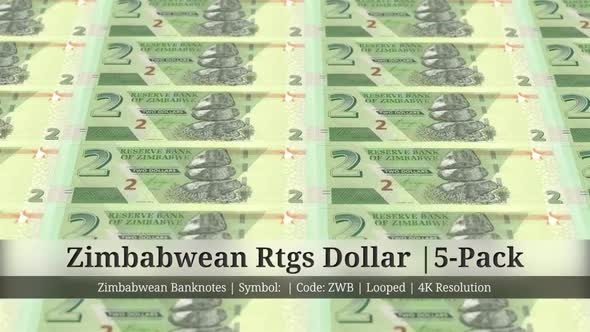 Zimbabwean Rtgs Dollar  | Zimbabwe Currency - 5 Pack | 4K Resolution | Looped alt