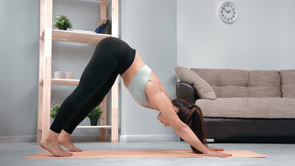 Active Sportswoman Practicing Upward Downward Dog Yoga Position Training on Mat at Home Interior alt