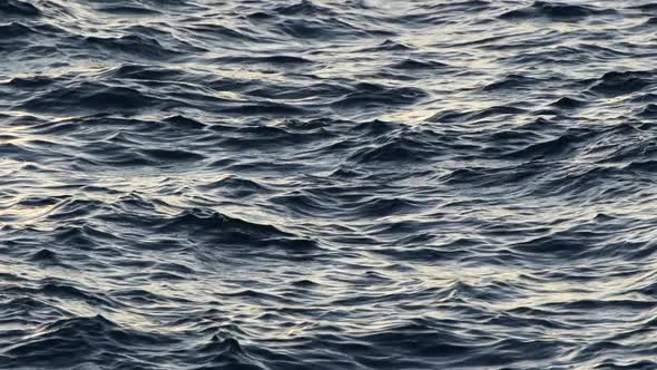 Waves on Sea Water in the Beginning of Small Storm. Diffused Sunlight Reflecting on Dark Water. Slow alt