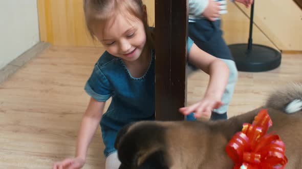 Girl sitting with puppy on the floor