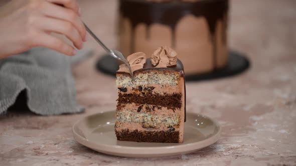 Piece of Chocolate Cake with Poppy Seed Layers and Prunes