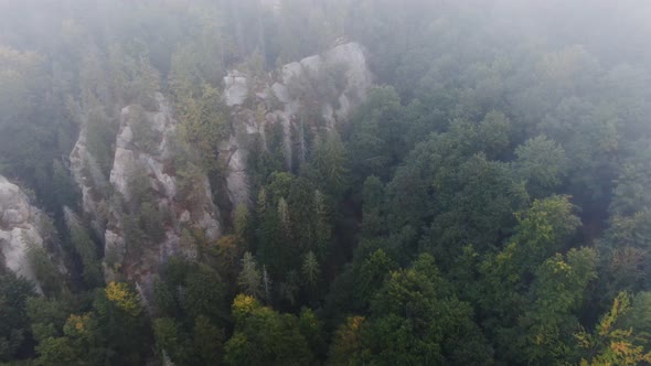 Aerial View Mountain with Trees in Autumn