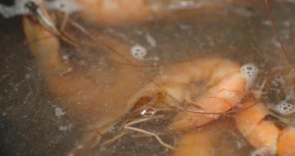 Cooking Shrimp in Boiling Water in a Saucepan. 