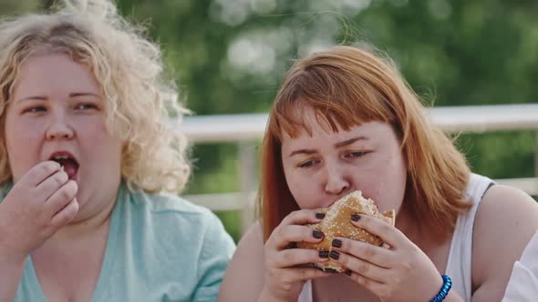 Obesity through Fast Food alt