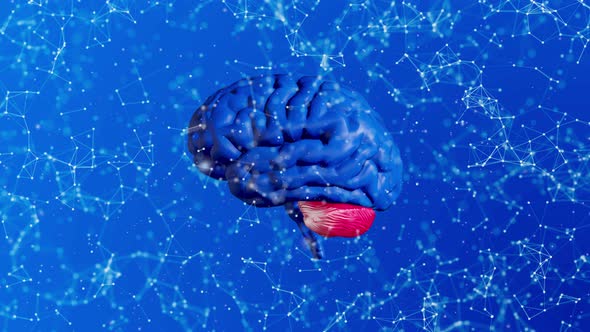 Dark Blue Brain Plexus