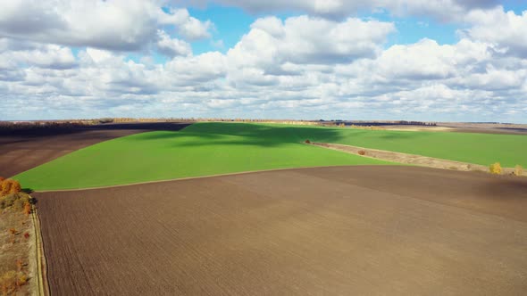 Aerial Photography Field Agro Farming