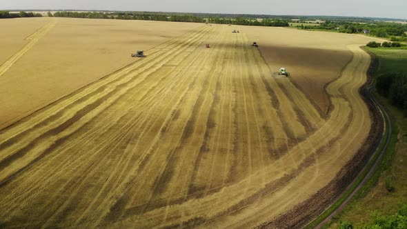 Harvesting Grain By the Combine in the Central Black Earth of Russia