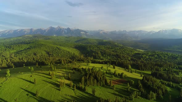 Aerial view of mountain landscape with lush, vibrant green forest in summer.