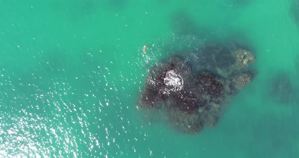 Aerial top down view of scuba diver with safety buoy. Diver in clear water near rocks alt