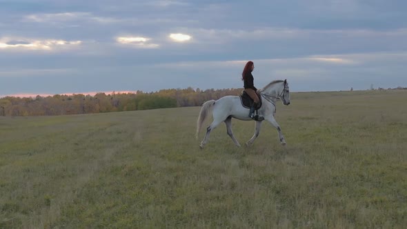 A Young Attractive Woman Rides a White Horse Across a Field at Sunset