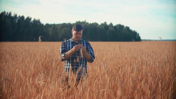 Caucasian farmer checking golden wheat field.