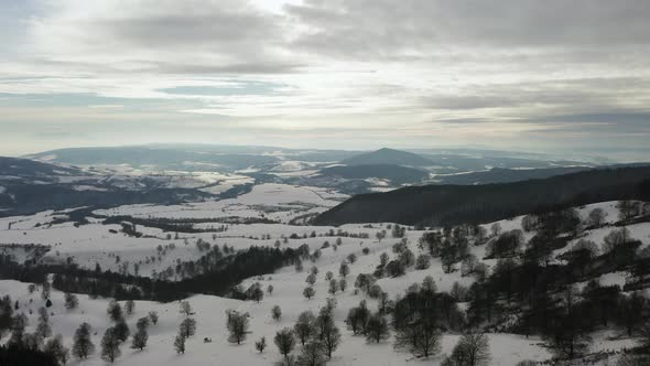 Slow aerial descent towards snow, bare trees in peaceful winter landscape alt
