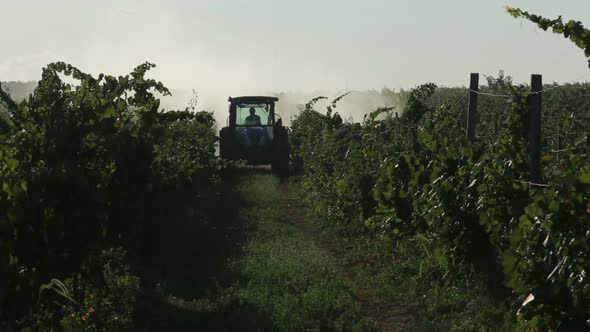 Tractor Rides Around the Vine Leaves alt
