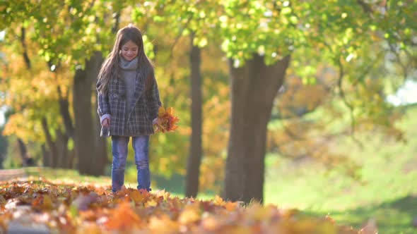 Child Holds Fallen Yellow Leaves in Hands.