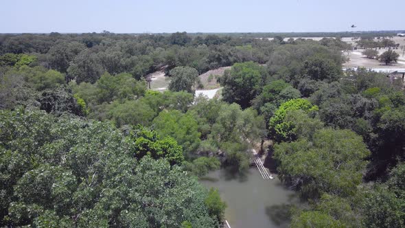 Barn swallows fly around the camera as the drone flies towards a park near the San Antonio river in alt