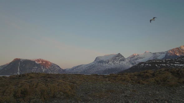 Aerial drone push in over hill, revealing bay, mountains in Tromvik, Kvaloya, Northern Norway, alt