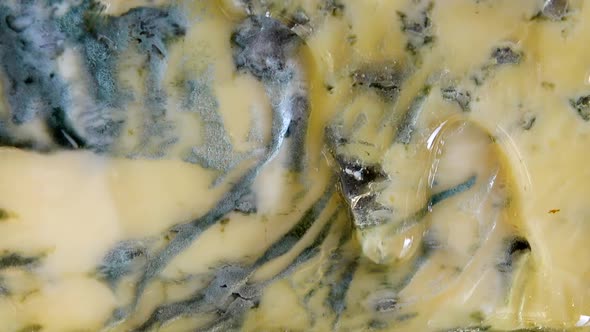 Drops of honey flowing down from the Dorblu cheese on a mirrored black background. alt