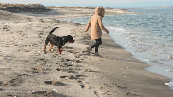 A Girl in a Jacket Runs and Fools Around on the Beach By the Sea with a Rottweiler Dog alt