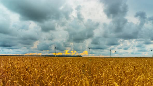 Wheat field and wind generators, time-lapse with crane alt