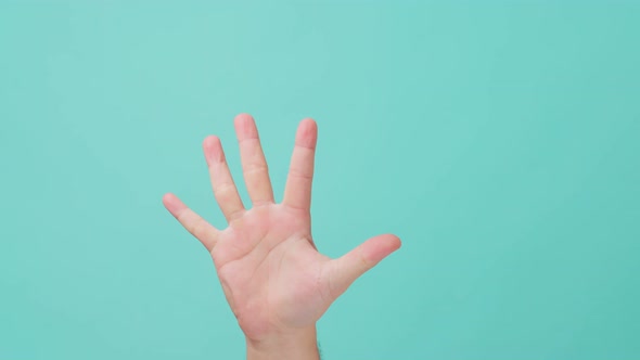Close up shot of human hand raising, making hand gesture counting down number by fingers. alt