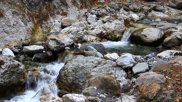 Peaceful River Stream in Nature