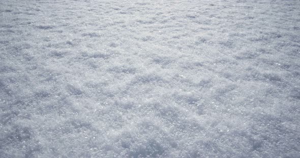 4K - Camera move across fresh snow cover. View at daytime light at winter background