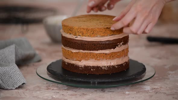 Close up of woman hands making sweet cake with chocolate cream and biscuit.