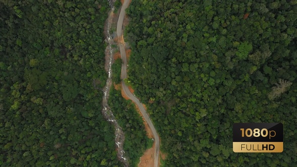 AH - Forest And Road  alt