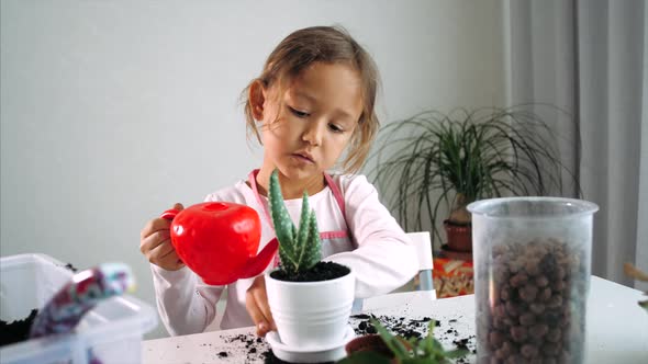 Little Child Girl is Watering a Houseplant After Replant at Home Indoor