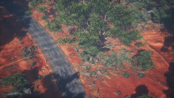 Road in Aerial View with Green Plants and Trees Around alt
