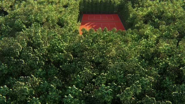Tennis Court In The Forest