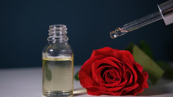 Oil Drops of Aroma Floral Liquids Falling From Cosmetic Pipette to Glass Bottle with Perfume