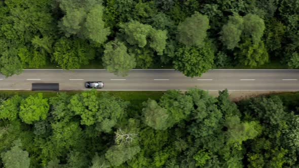 Fly with a fast driving car along a street which is leading through a green forest at a day in summe alt