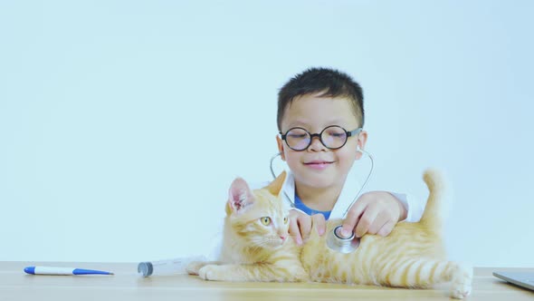 Asian boy dressed as a doctor is treating a cat.