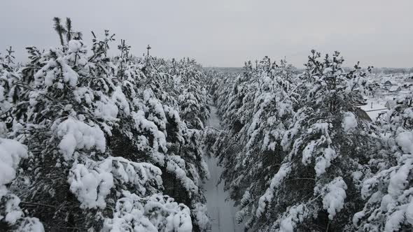 Railway in winter forest – footage from drone alt